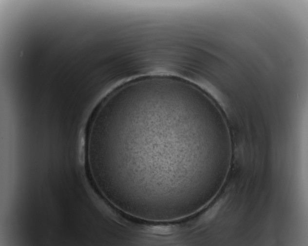 X0000088401126200705291423