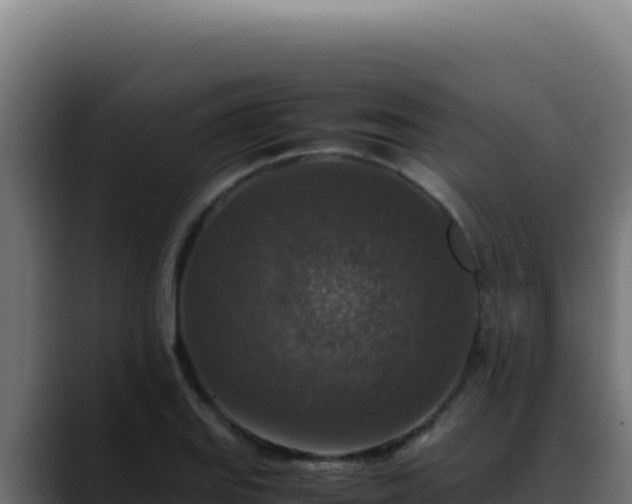 X0000088401127200705291423