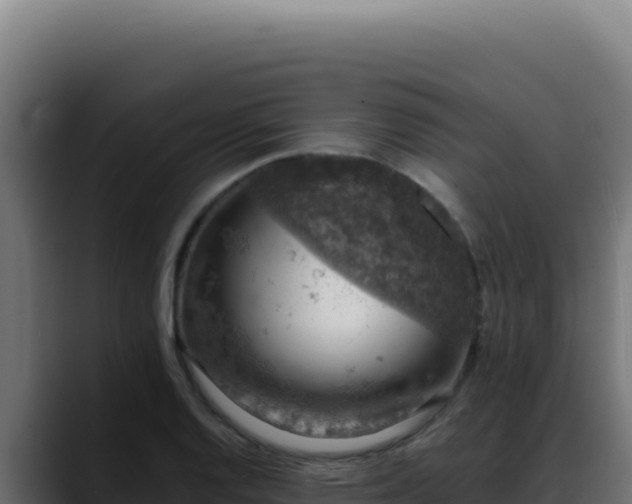 X0000088401128200705291423