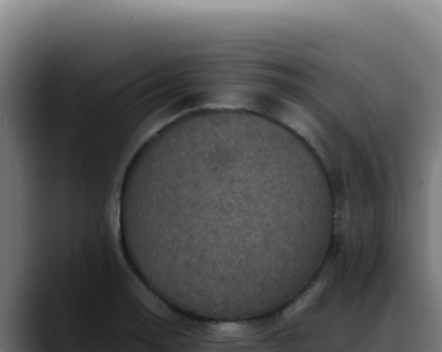 X0000088401130200705291423