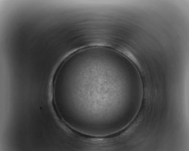 X0000088401132200705291423