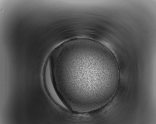 X0000088401133200705291423