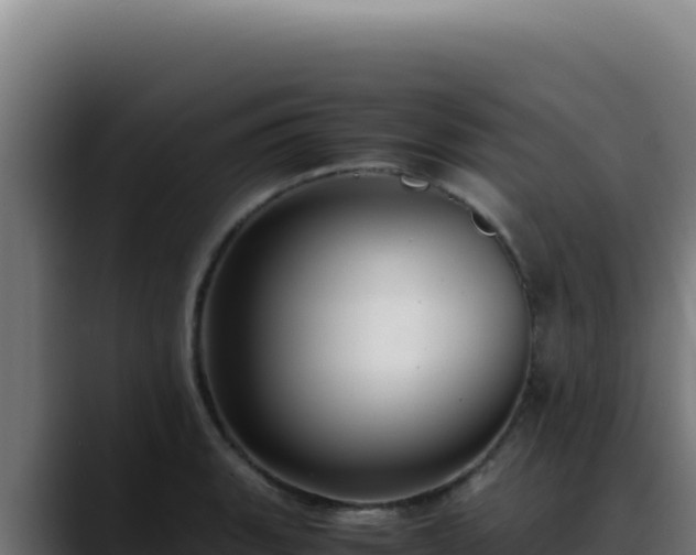 X0000088401135200705291423