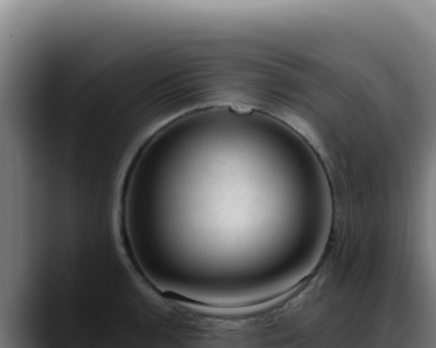 X0000088401136200705291423