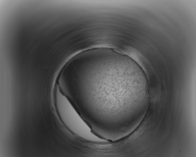 X0000088401140200705291423