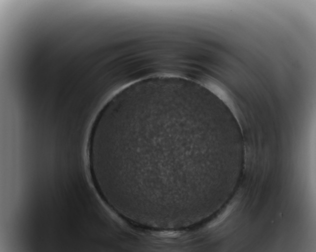 X0000088401141200705291423