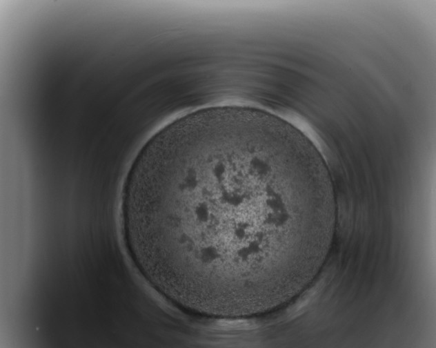 X0000088401142200705291423