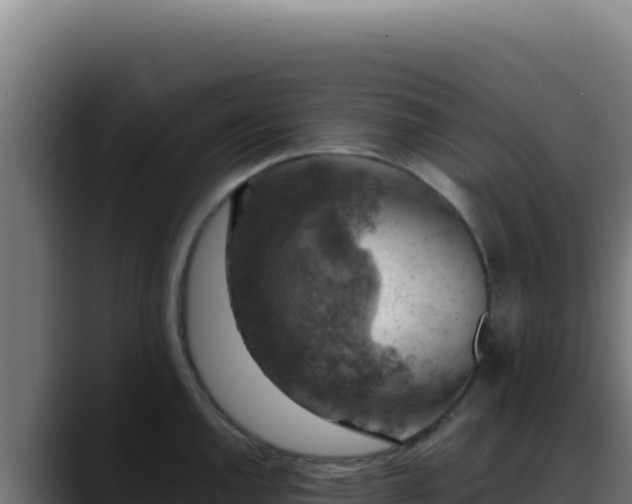 X0000088401144200705291423