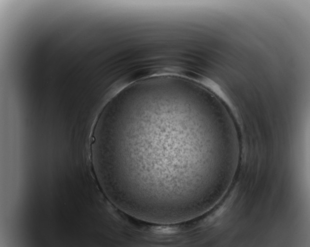 X0000088401145200705291424