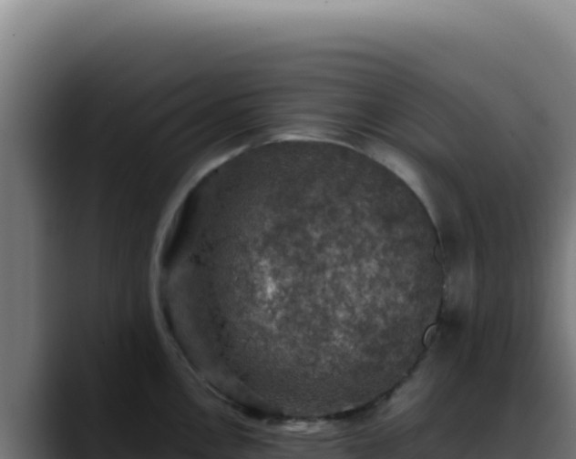 X0000088401146200705291424