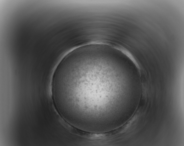 X0000088401148200705291424