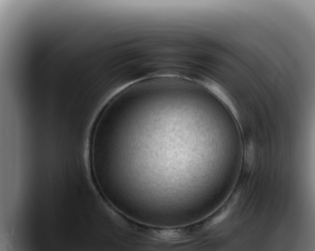 X0000088401149200705291424