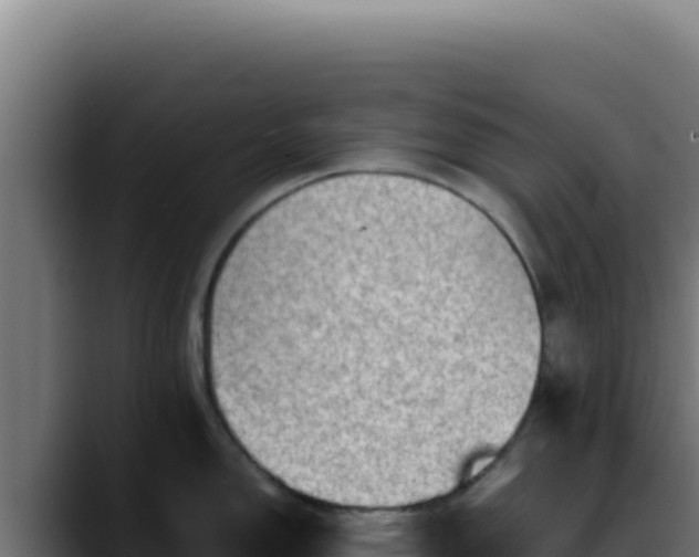 X0000088401150200705291424