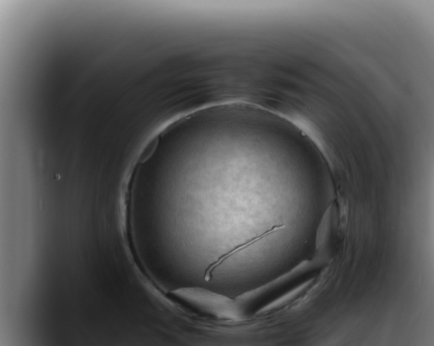 X0000088401151200705291424