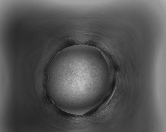 X0000088401153200705291423