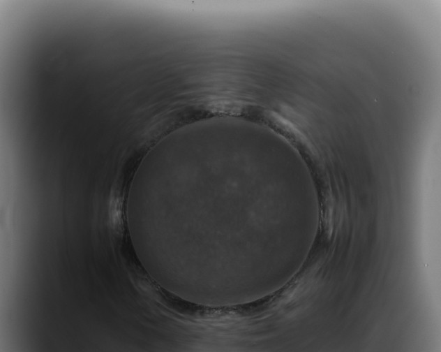 X0000088401154200705291423