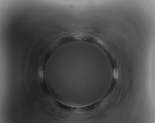 X0000088401155200705291423