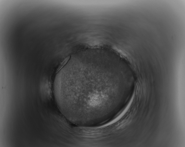 X0000088401156200705291423