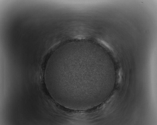 X0000088401158200705291423