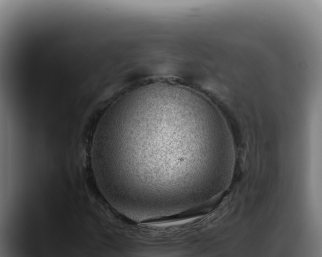 X0000088401159200705291423