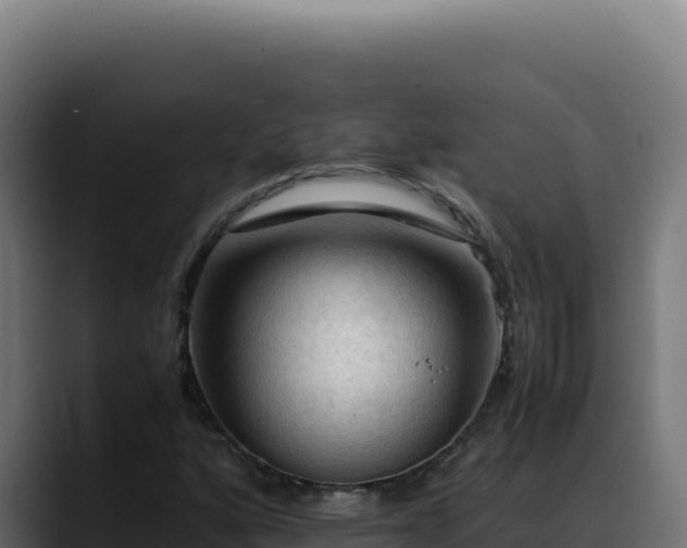 X0000088401160200705291423