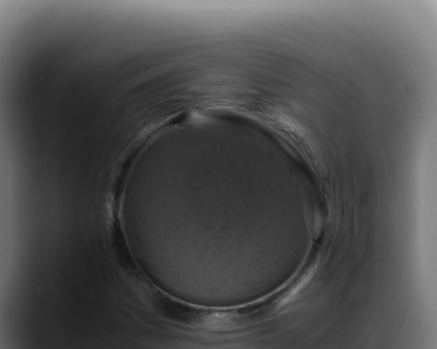 X0000088401161200705291423