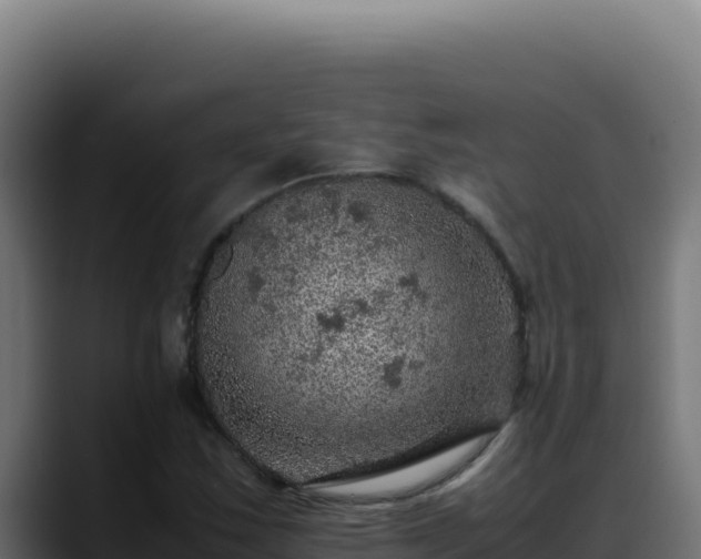 X0000088401163200705291423