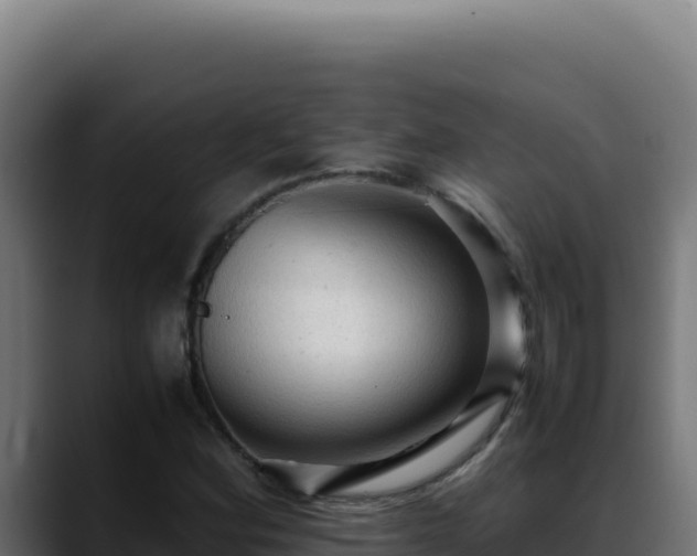 X0000088401164200705291423