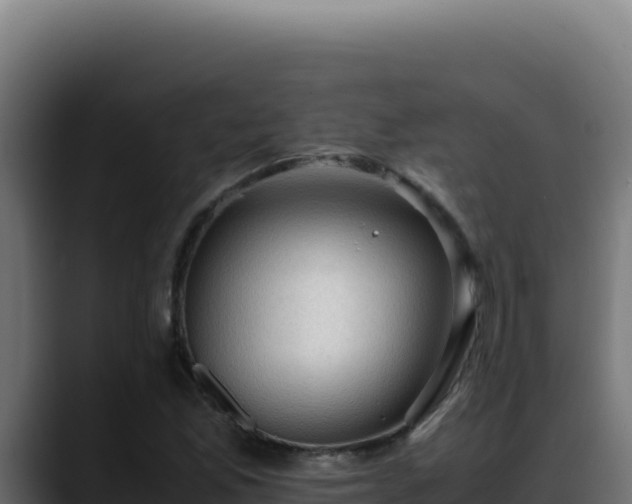 X0000088401165200705291423