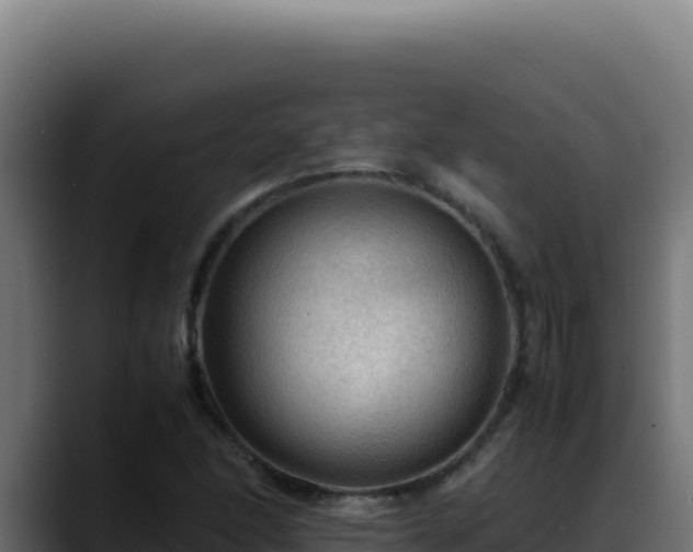 X0000088401166200705291423