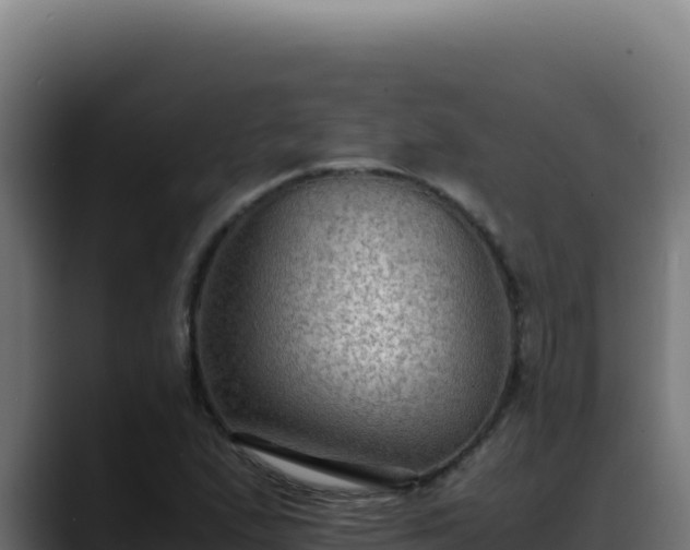 X0000088401167200705291423