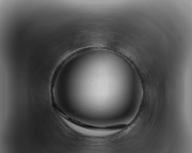 X0000088401168200705291423