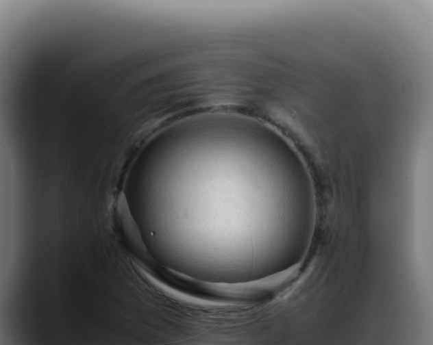 X0000088401169200705291423