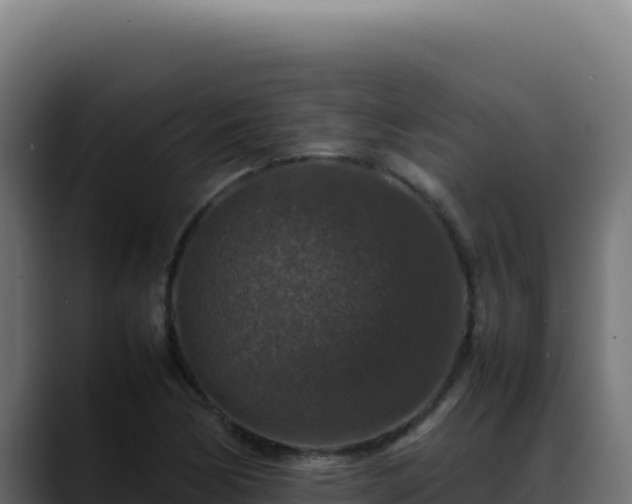 X0000088401170200705291423