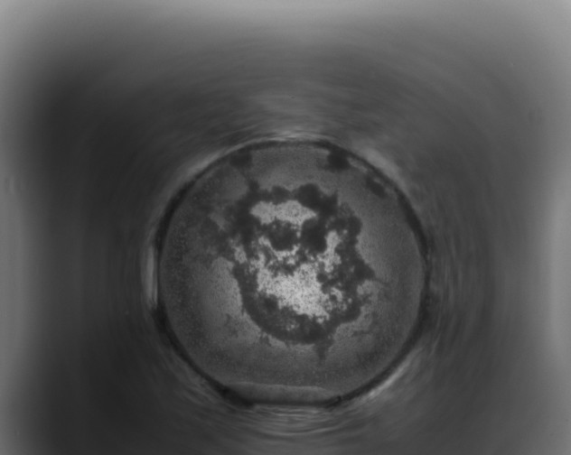 X0000088401171200705291423