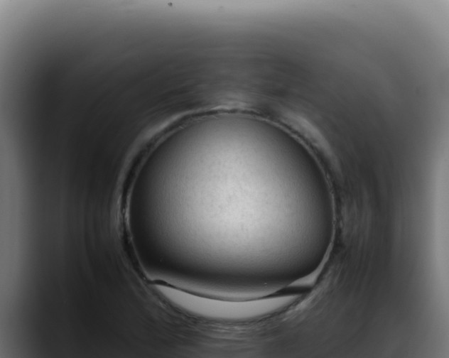 X0000088401172200705291423