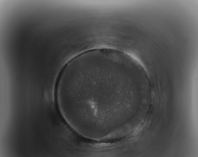 X0000088401173200705291423