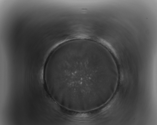 X0000088401174200705291423