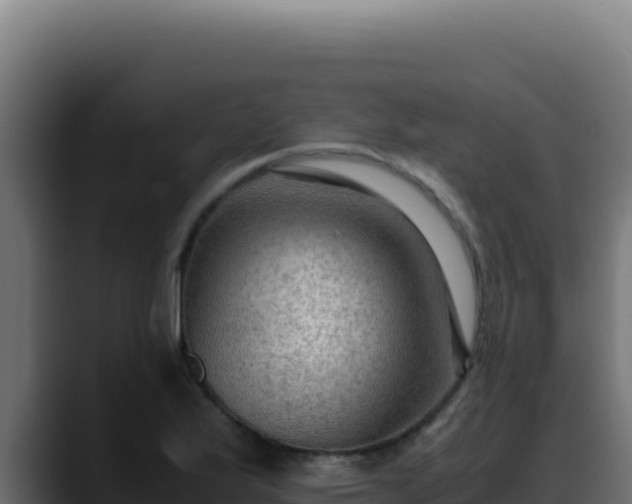 X0000088401175200705291423