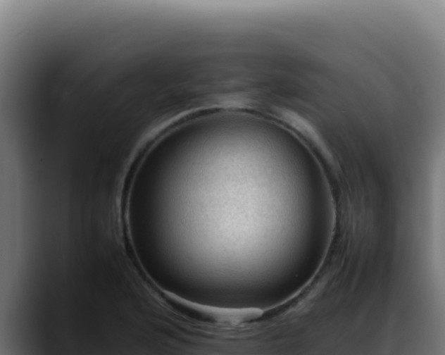 X0000088401176200705291422