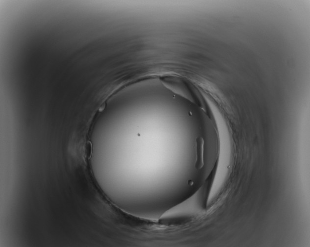 X0000088401177200705291422