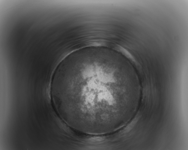 X0000088401178200705291422