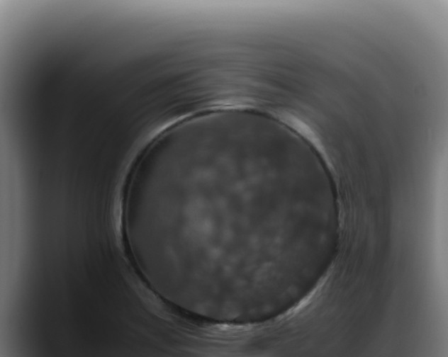 X0000088401179200705291422