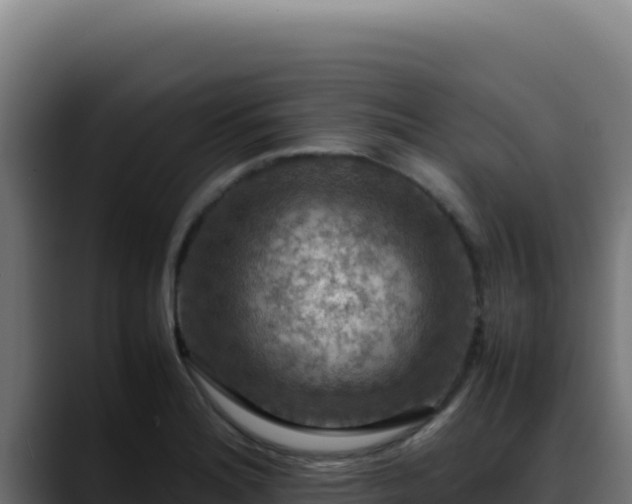 X0000088401180200705291422