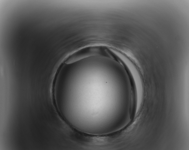 X0000088401181200705291422