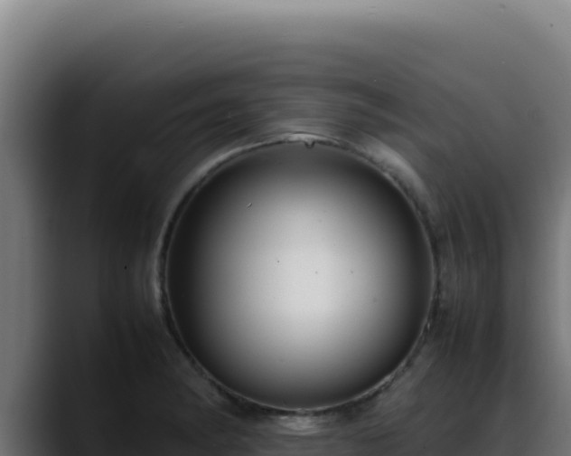 X0000088401182200705291422