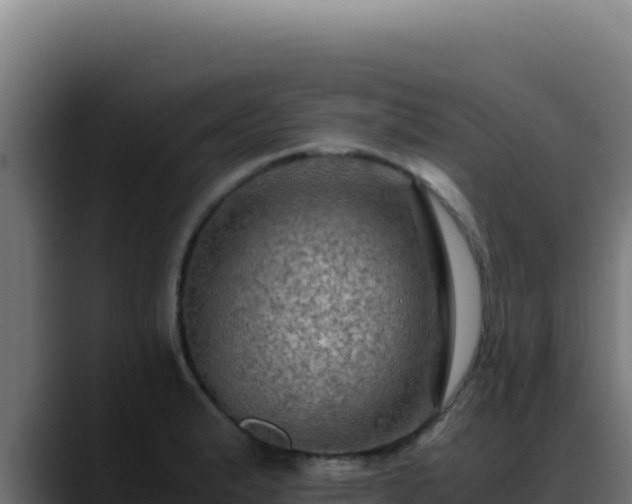 X0000088401183200705291422