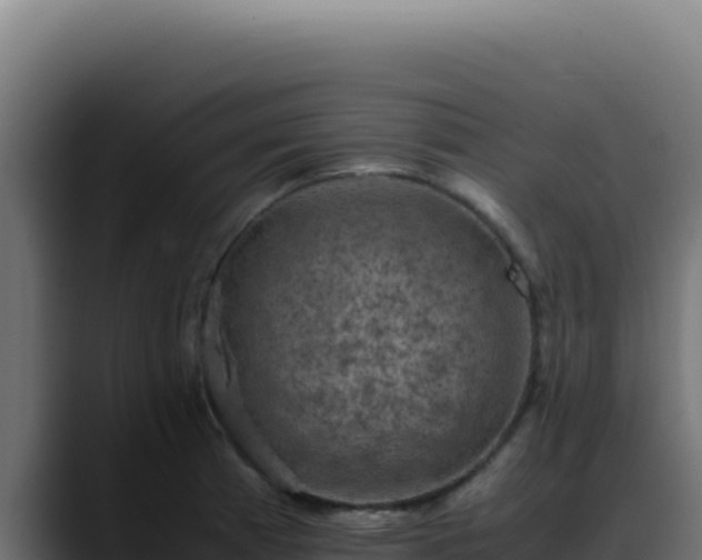 X0000088401185200705291422