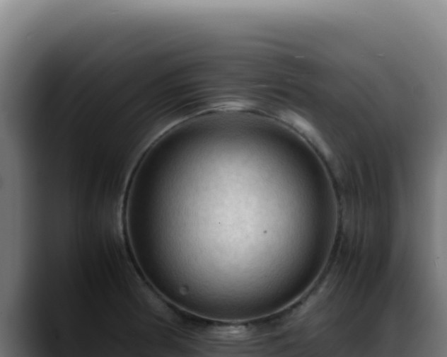 X0000088401186200705291422