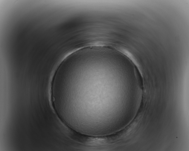 X0000088401187200705291422